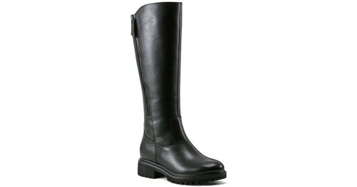 rockport knee high boots