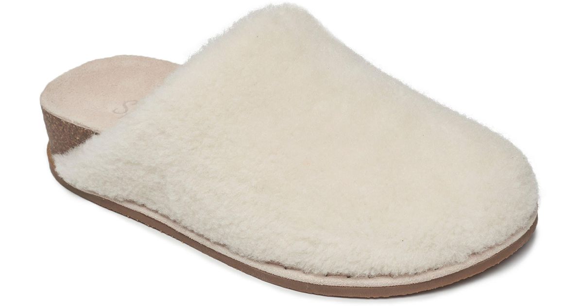 Splendid shoes shop nordstrom rack