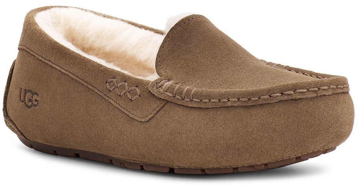 Nordstrom store ugg ansley