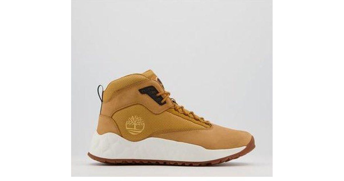 timberland trainers white