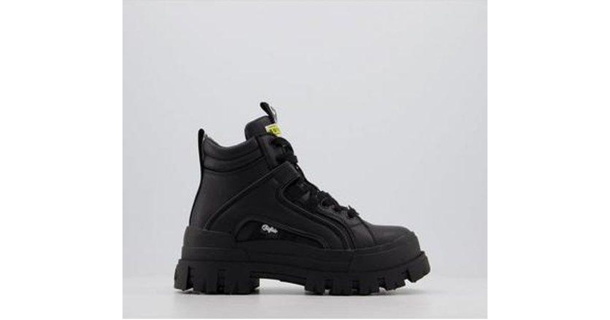 buffalo trainers office