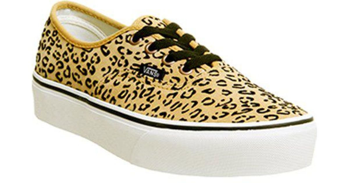 platform vans office