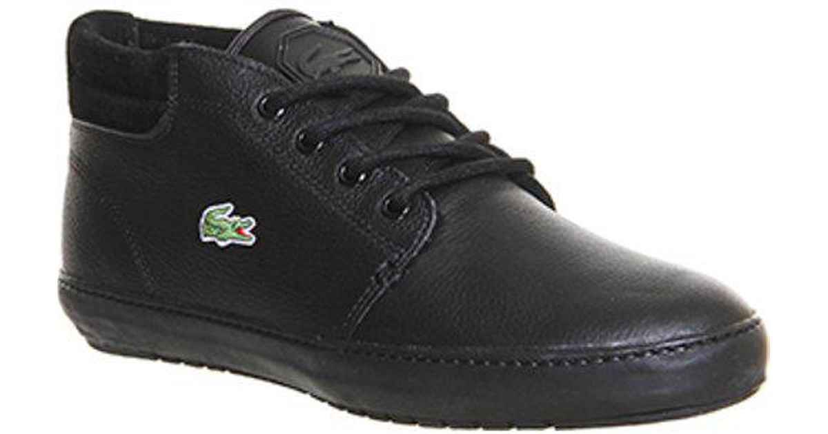 ampthill terra lacoste