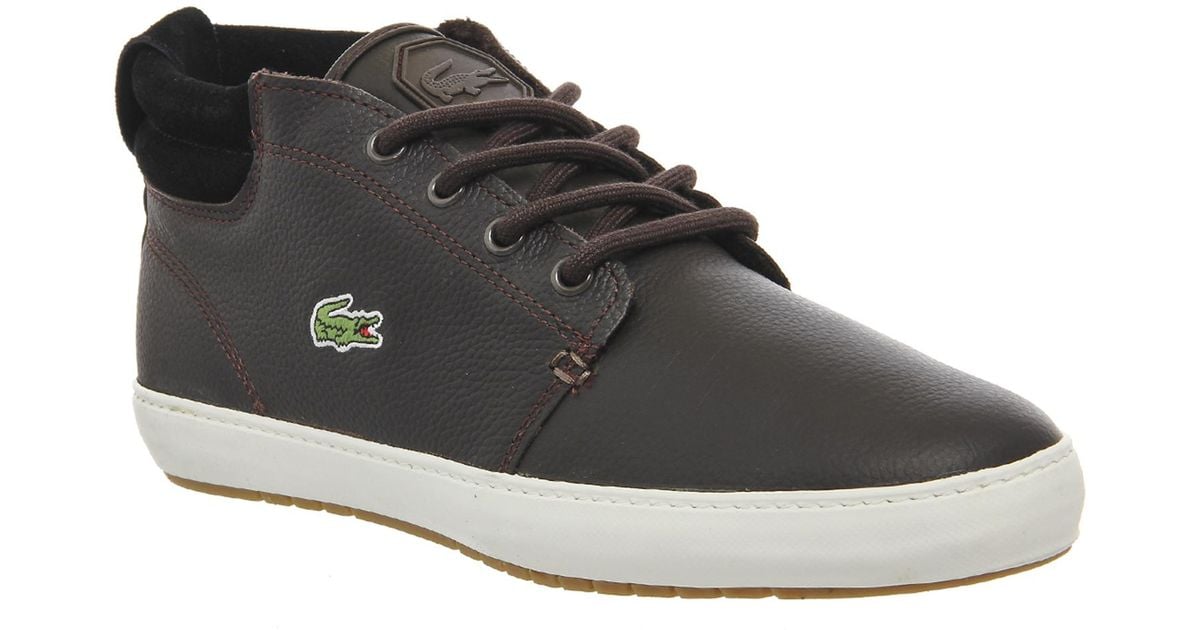 lacoste ampthill grey