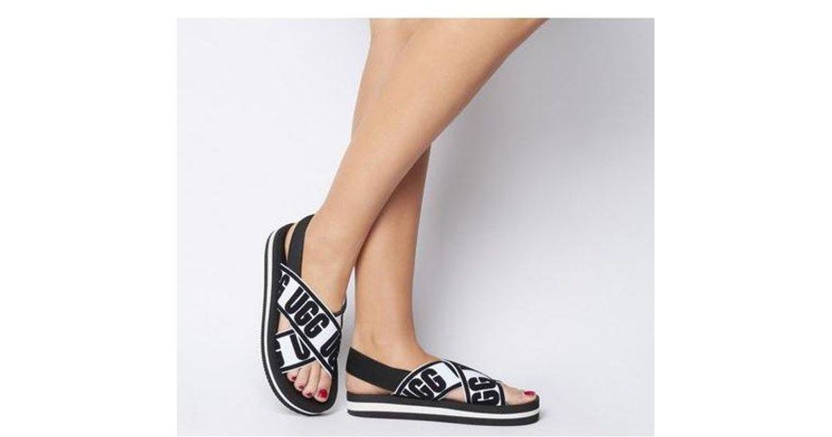 ugg graphic ugg graphic