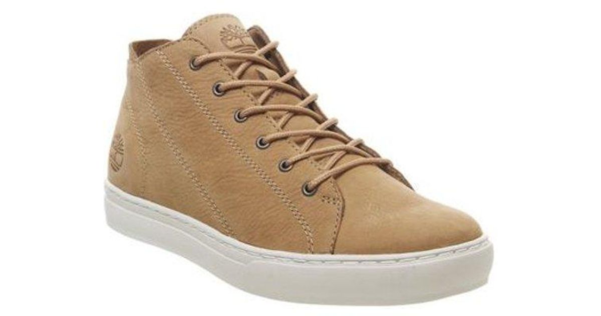 timberland adv 2.0 cupsole modern