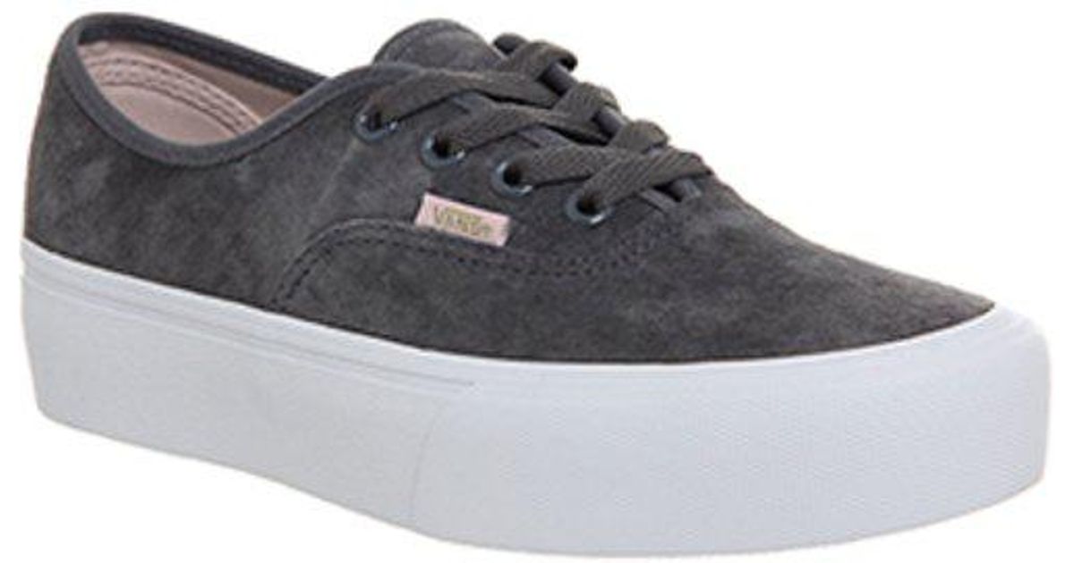 vans ck vans ck