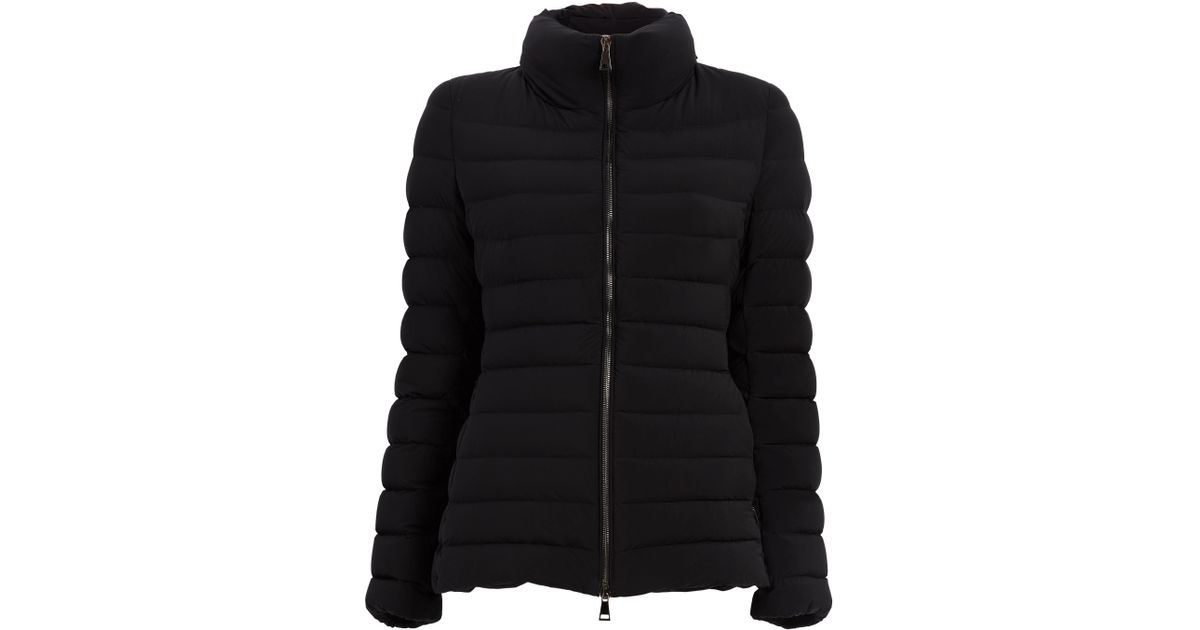 moncler guillemot