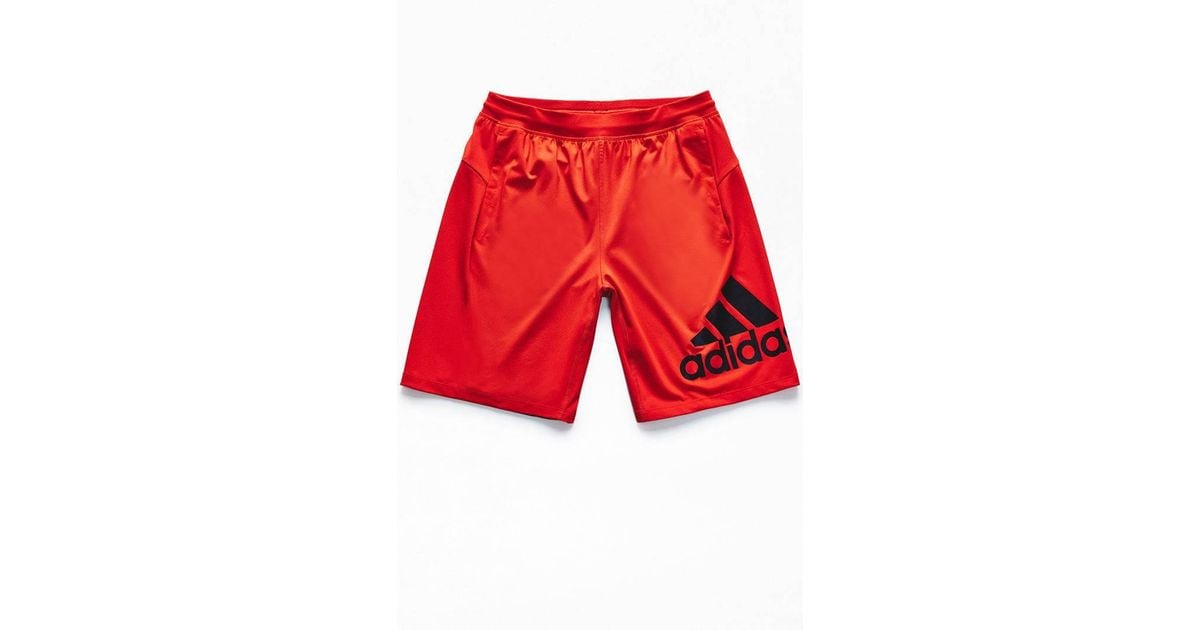 hibiscus basketball shorts