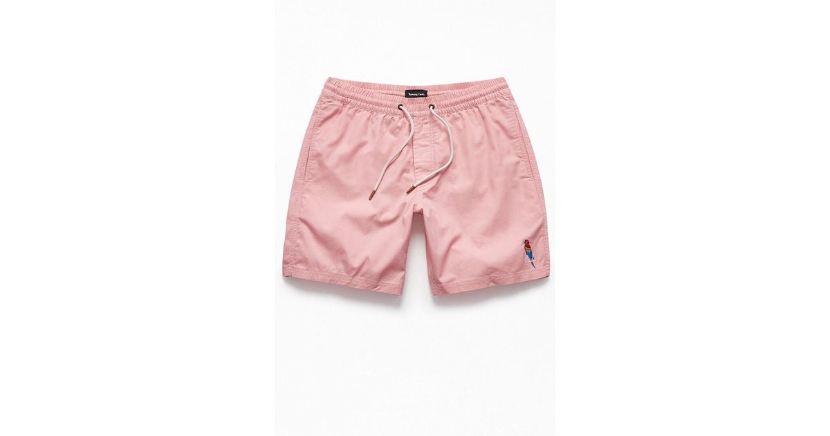 barney cools swim trunks