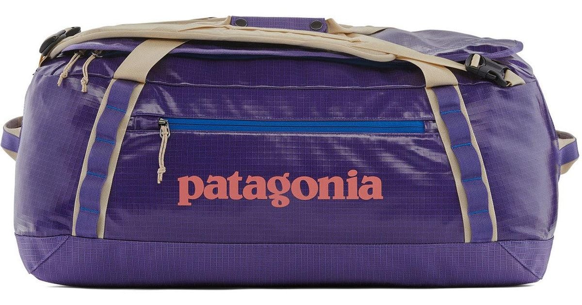 Patagonia Black Hole Duffel 40l in Purple Lyst