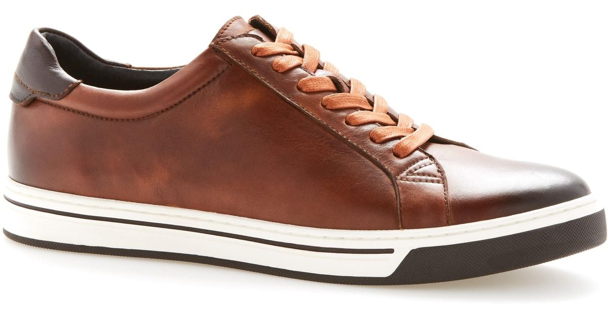 Perry Ellis Burnished Leather Sneaker in Brown for Men | Lyst