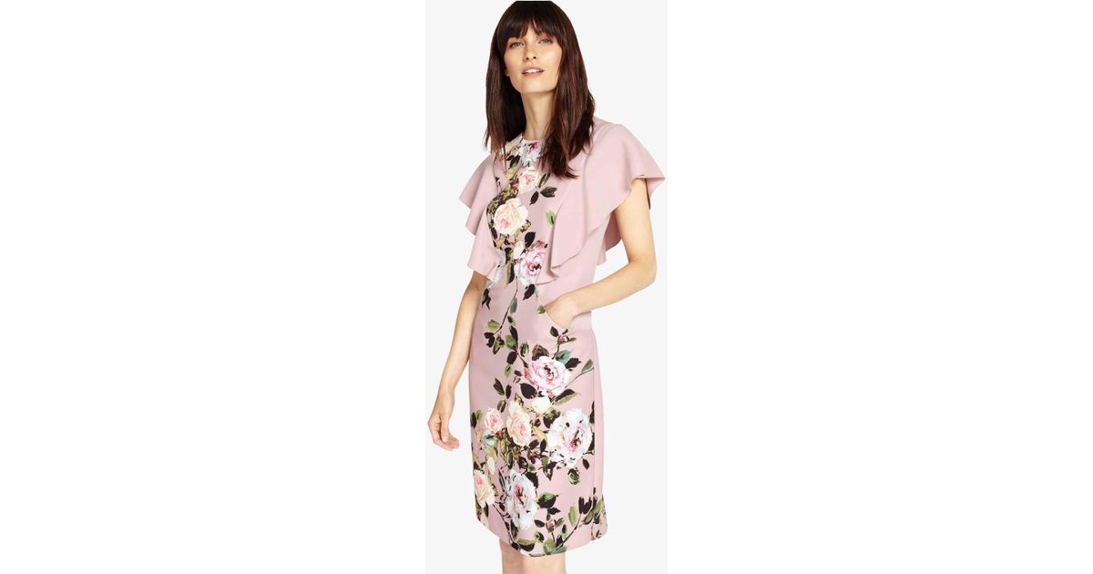 phase eight livvy dress