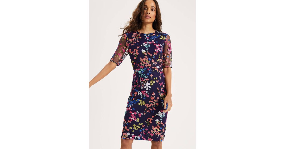 phase eight teodora embroidered dress