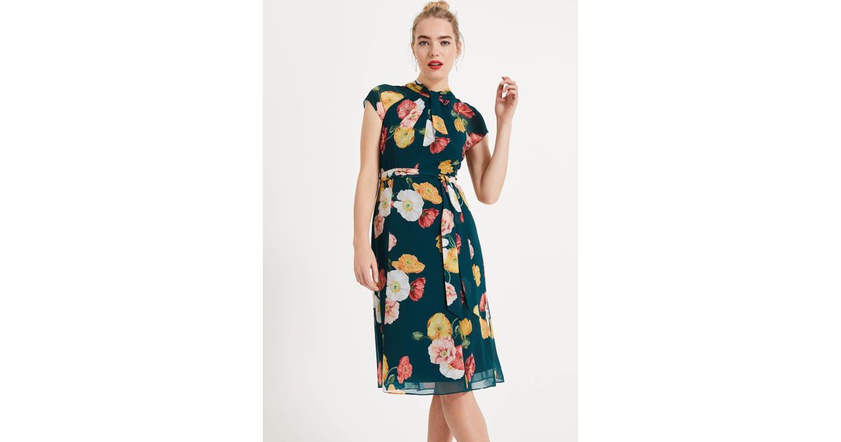 phase eight kristen floral print dress