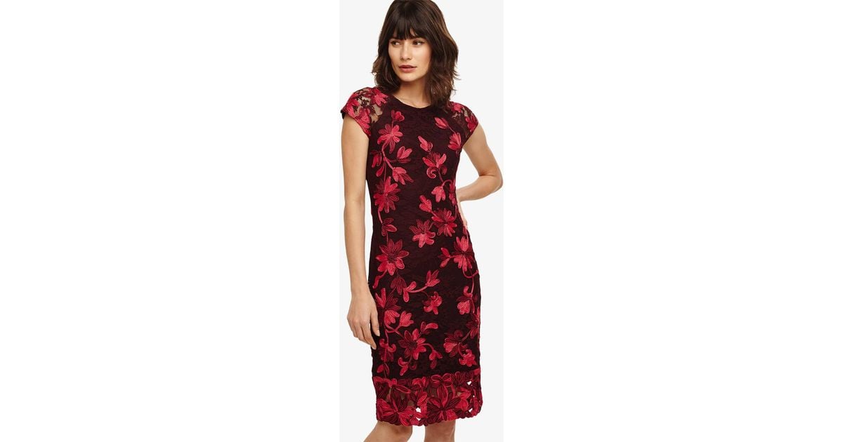 phase eight chrissy tapework dress