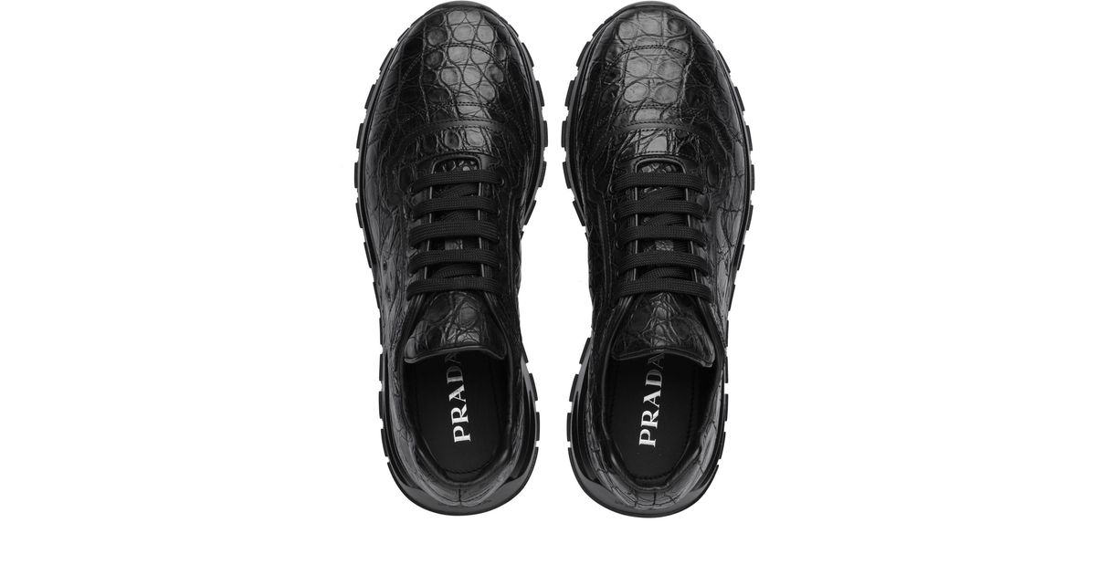 crocodile sneakers shoes