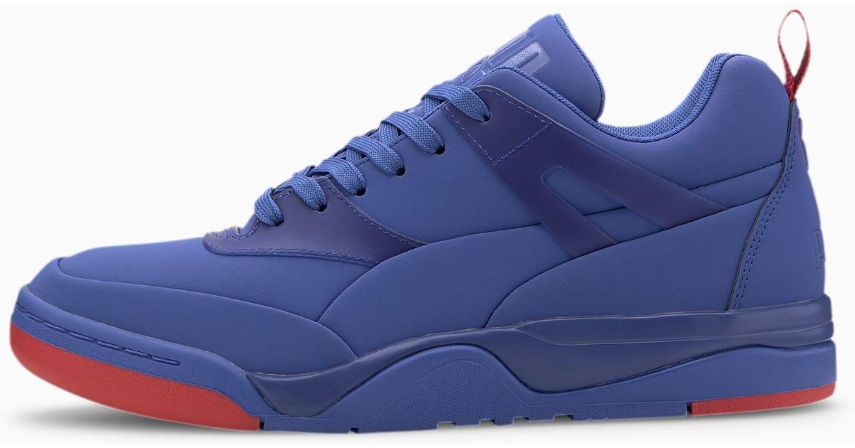 puma palace guard monochromatic