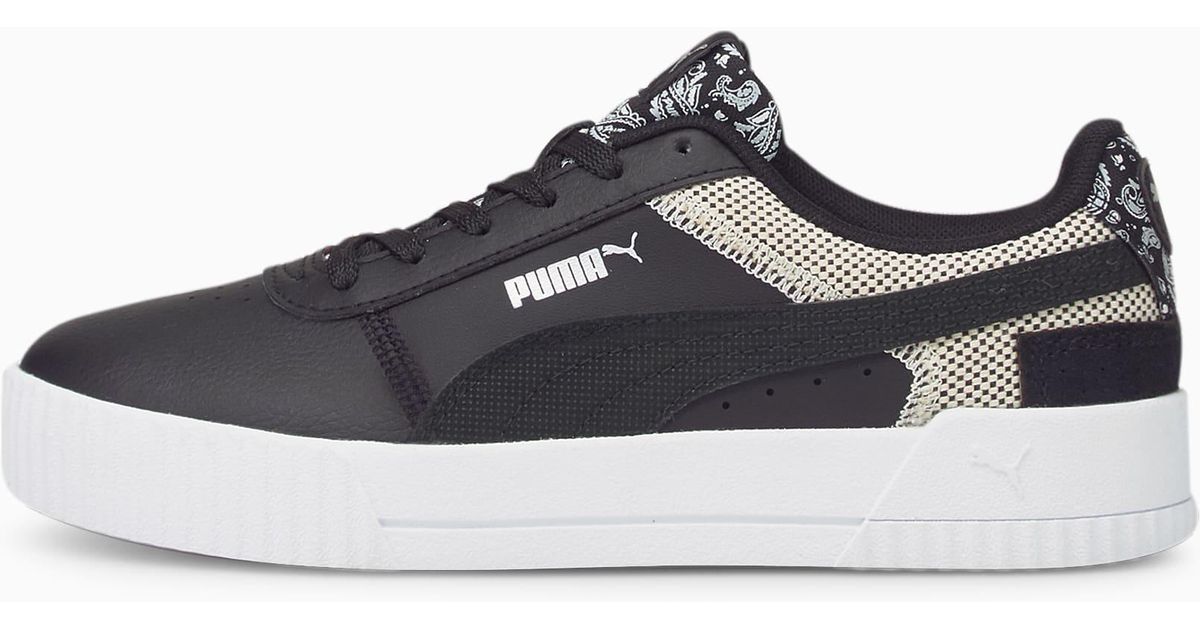 carina trainers