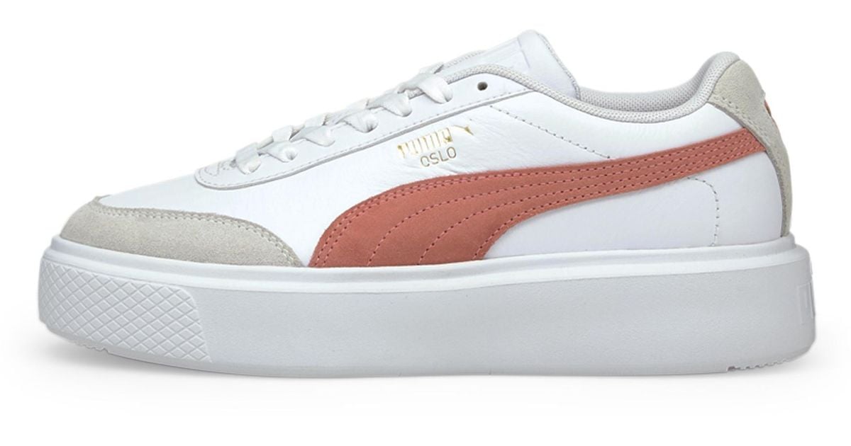 puma maja