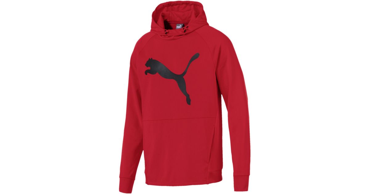 tec sports cat hoodie