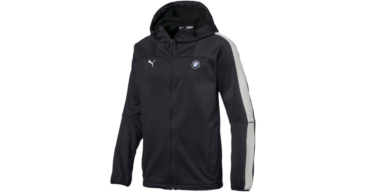softshell puma softshell puma