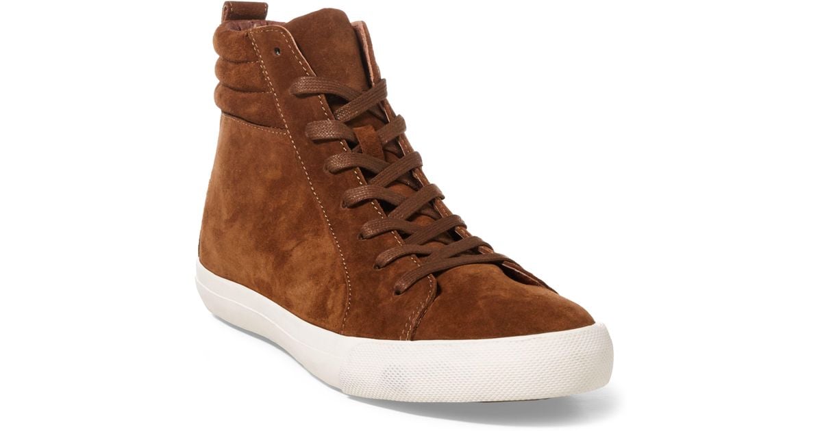 polo high top sneakers