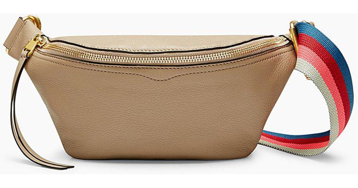 bree web strap leather belt bag