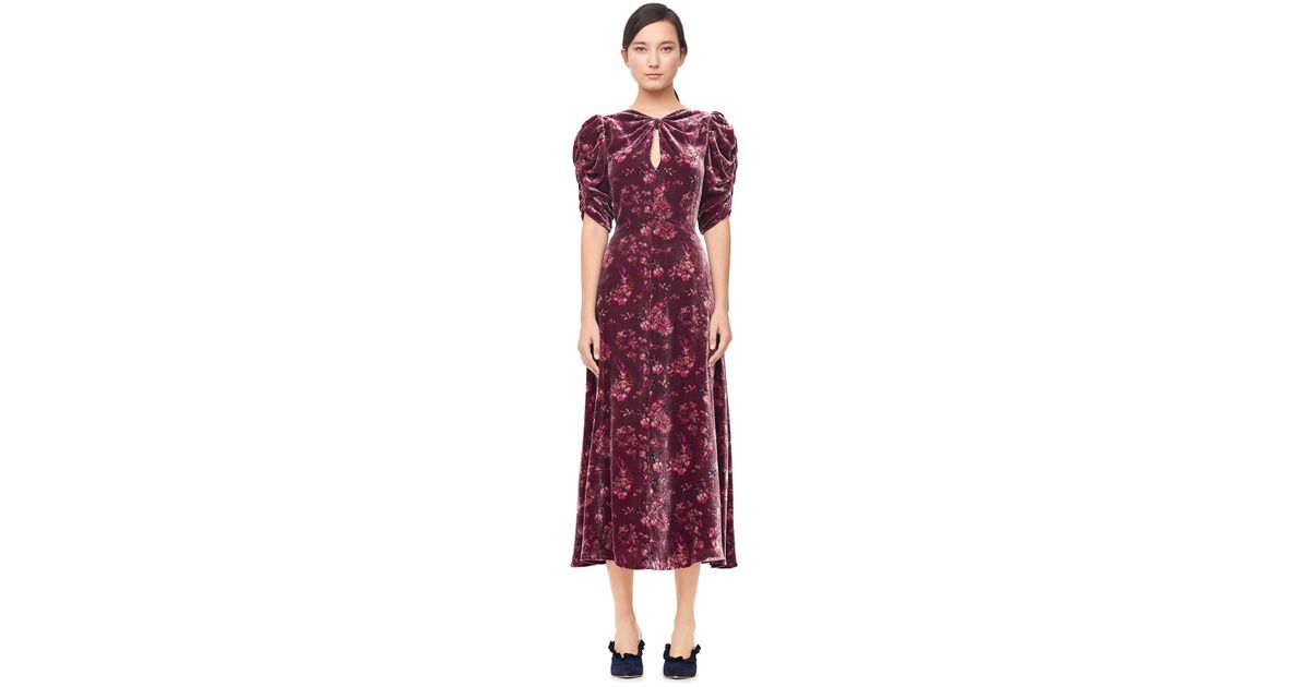 rebecca taylor velvet dress