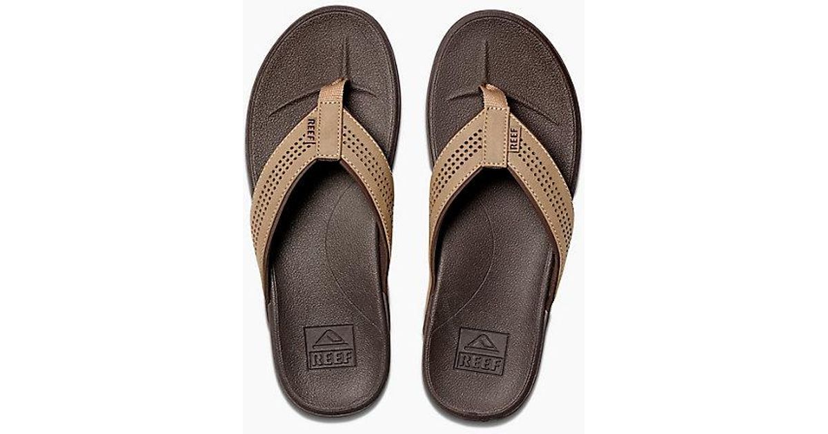 reef alliance slipper