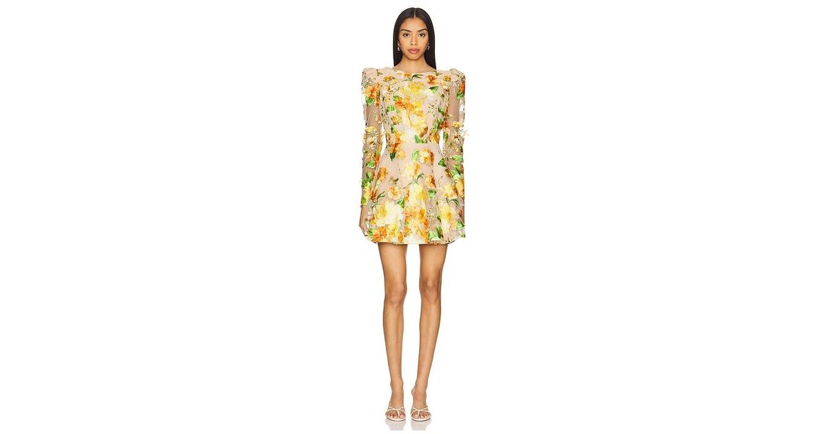elliatt aella mini dress Aella A-line Floral Mini Dress In Pink