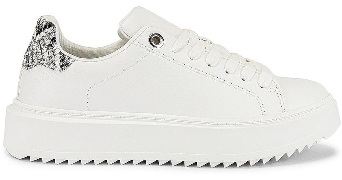 Steve Madden Catcher Sneaker in White Lyst