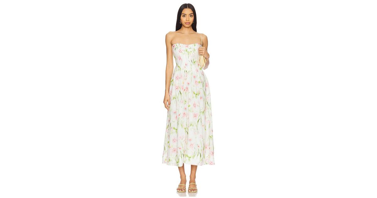 knee length dresses for ladies Bardot Lola Floral Corset Midi Dress MSRP $169  DGFOutlet