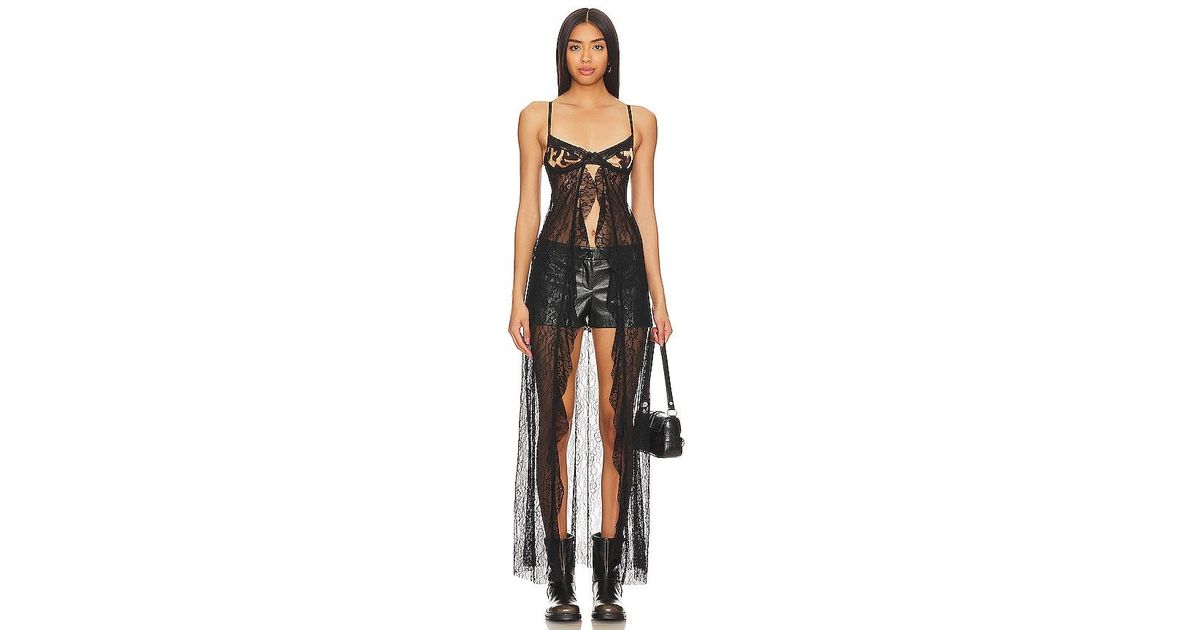 Jaded London Leopard Bralette Lace Top in Black | Lyst