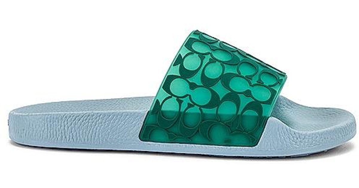 green coach slides