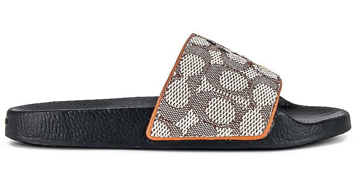 COACH Leather Disney Parks Sports Slide in Brown Lyst UK