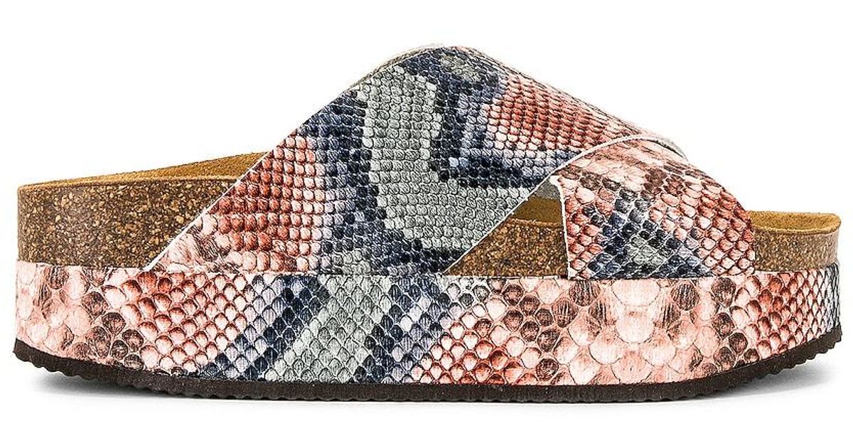 Free People Sidelines Sandal in Tan Snake | Cotton Island Women's Clothing Boutique