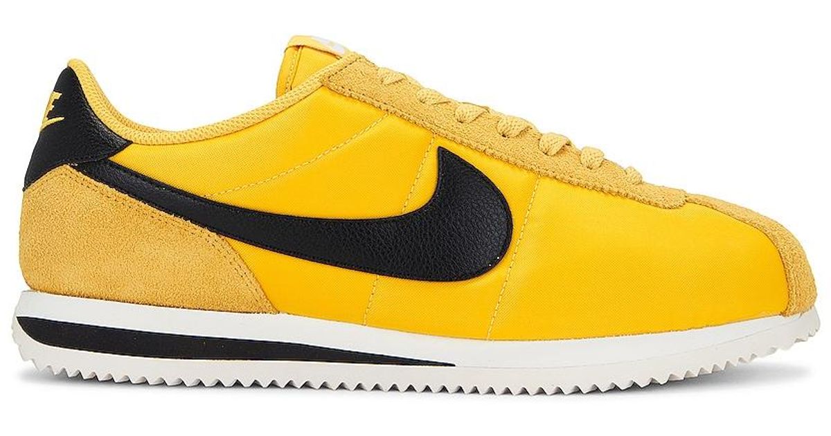blue and yellow cortez