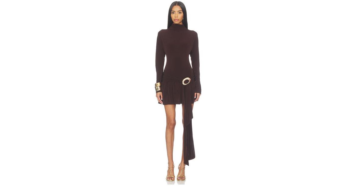 No Other Love Long Sleeve Mini Dress Leopard Honey