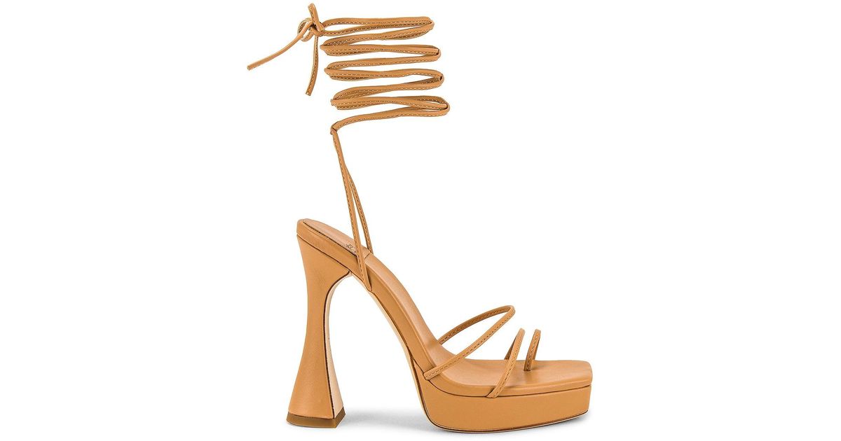 primadonna jeffrey campbell