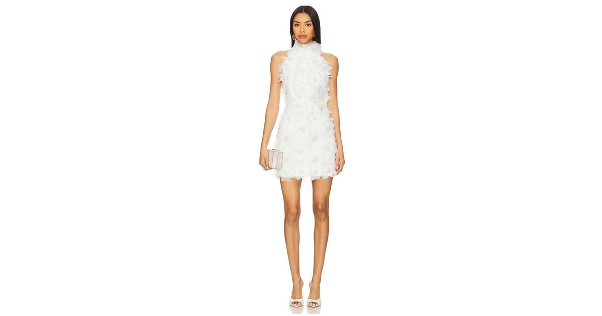 likely mini hara dress Hara Halter Mini Dress- Misty Purple – Hazel Lane Boutique