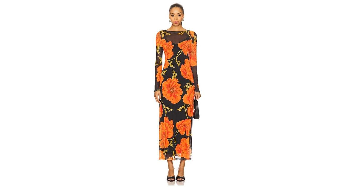 knee length dresses for ladies Never Fully Dressed Blue Poppy Aria Mesh Dress