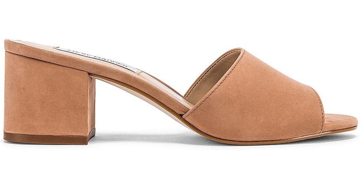 steve madden insist