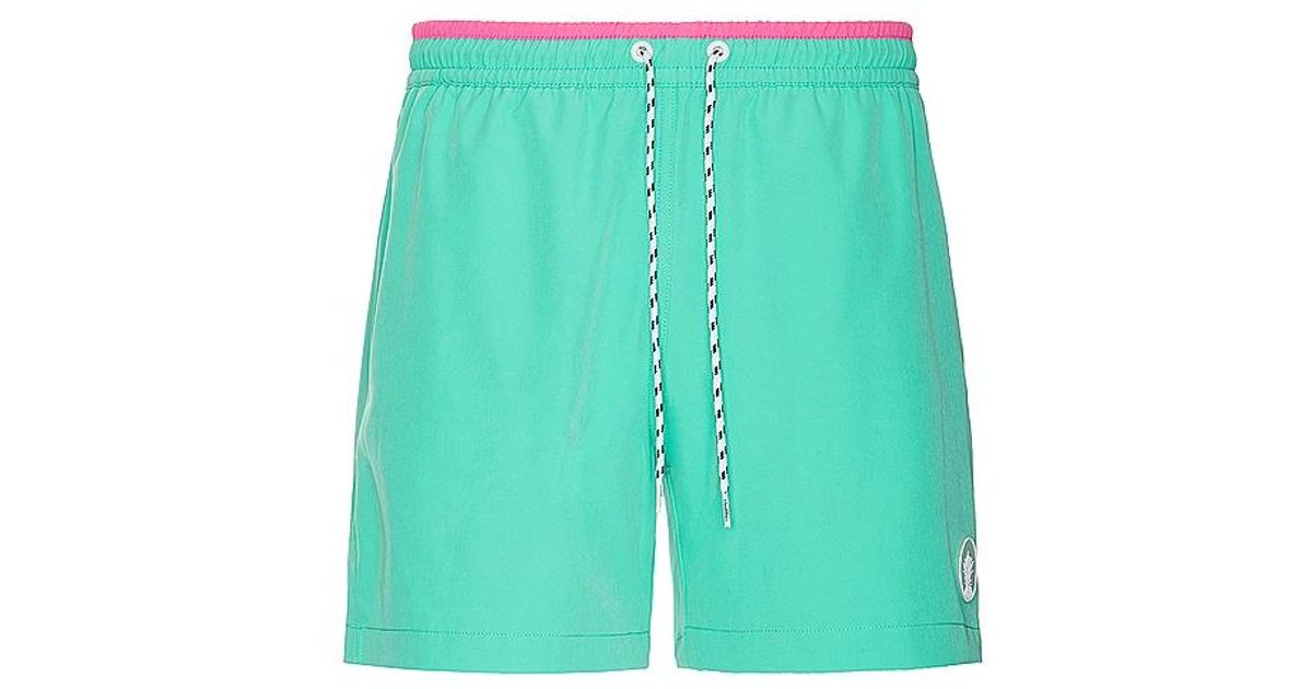 Chubbies The Point Pleasants 5.5 Swim Short in Green for Men