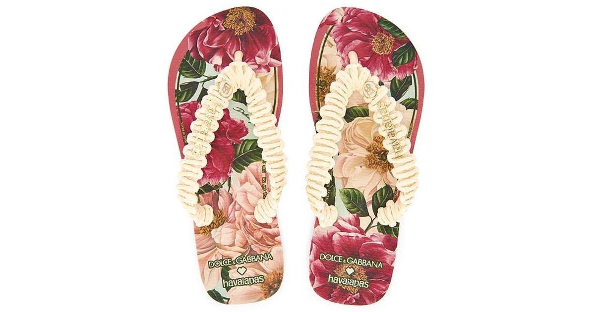 havaianas-Ballet-Rose-X-Dolce-  display picture 1
