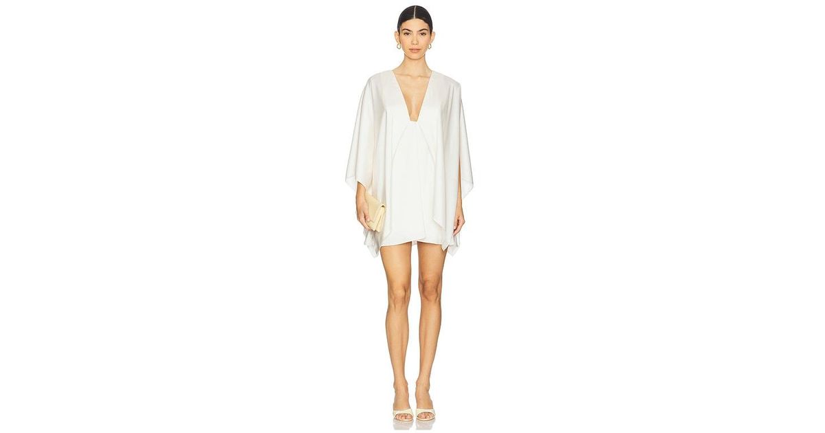 pietro mini dress Pietro Mini Dress