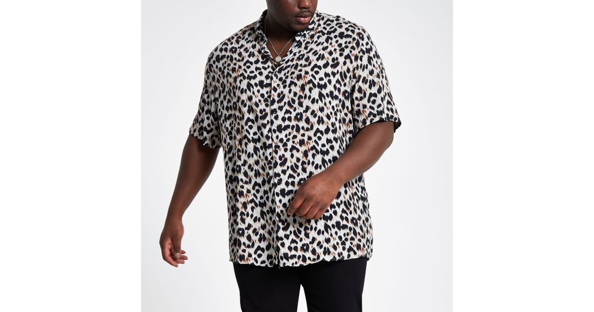 grey leopard print shirt