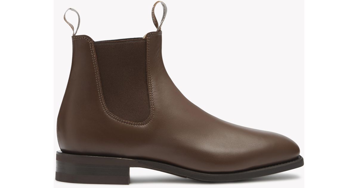 dark tan rm williams