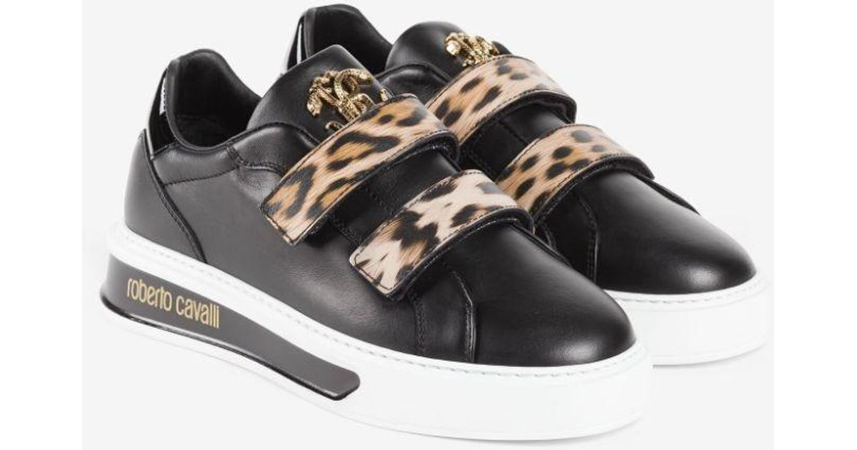 roberto cavalli sport netted colorblock sneaker