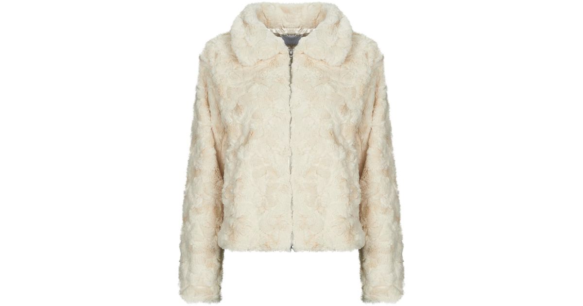 Vidorte L S Jacket Black Beauty